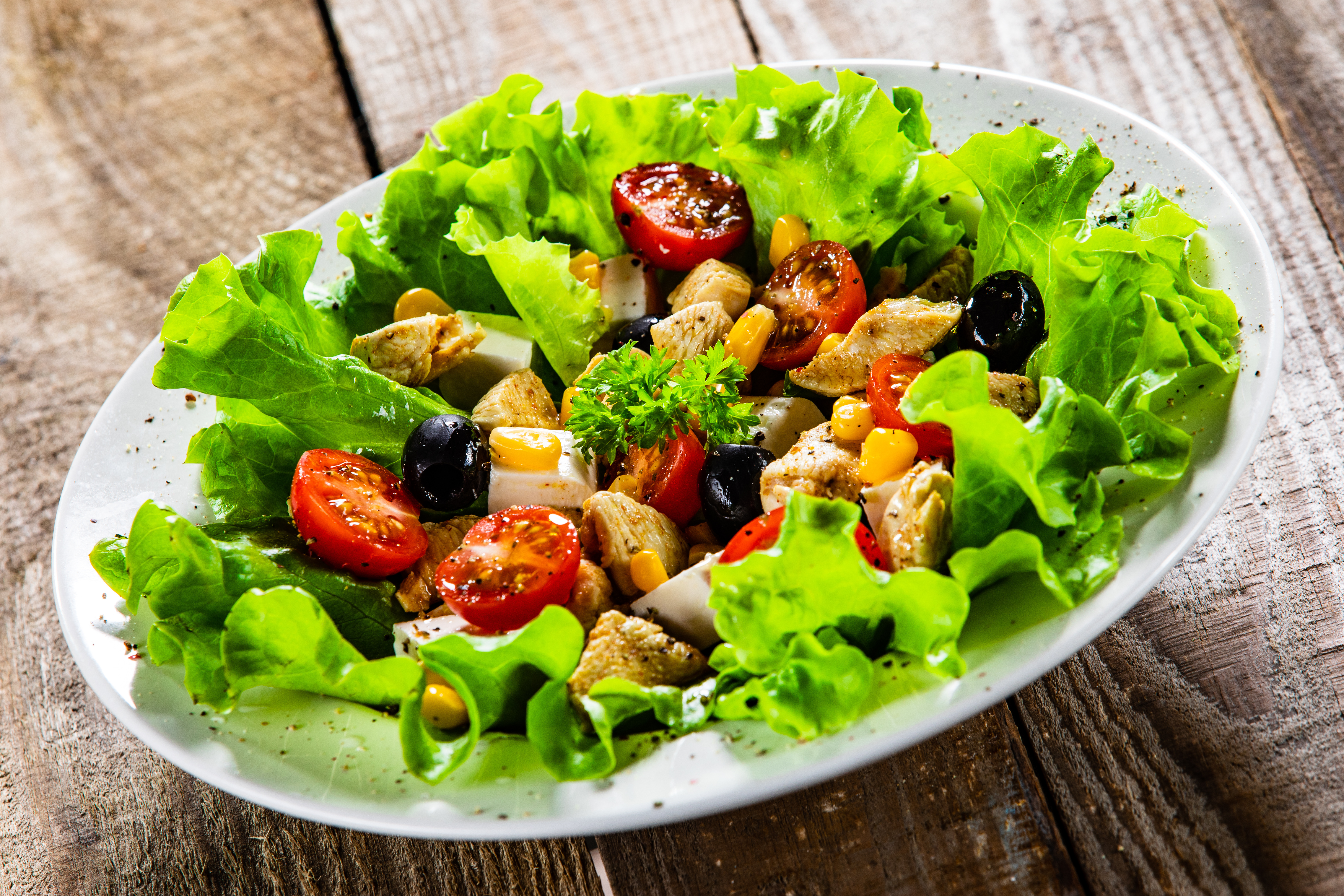 AdobeStock_292404195.jpeg