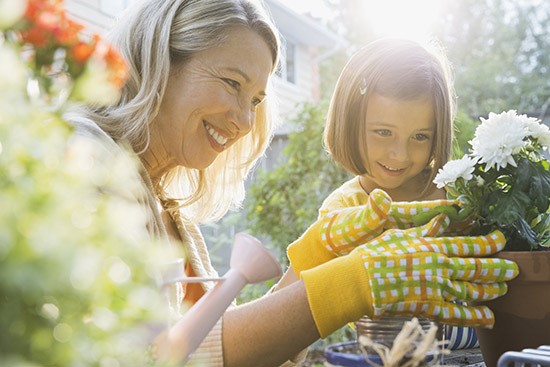 Une personne et un enfant jardinent

Description générée automatiquement
