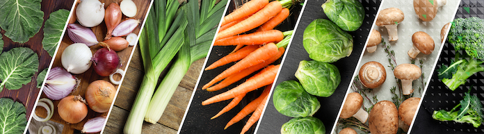 WinterProduceRecipes_Header.jpg