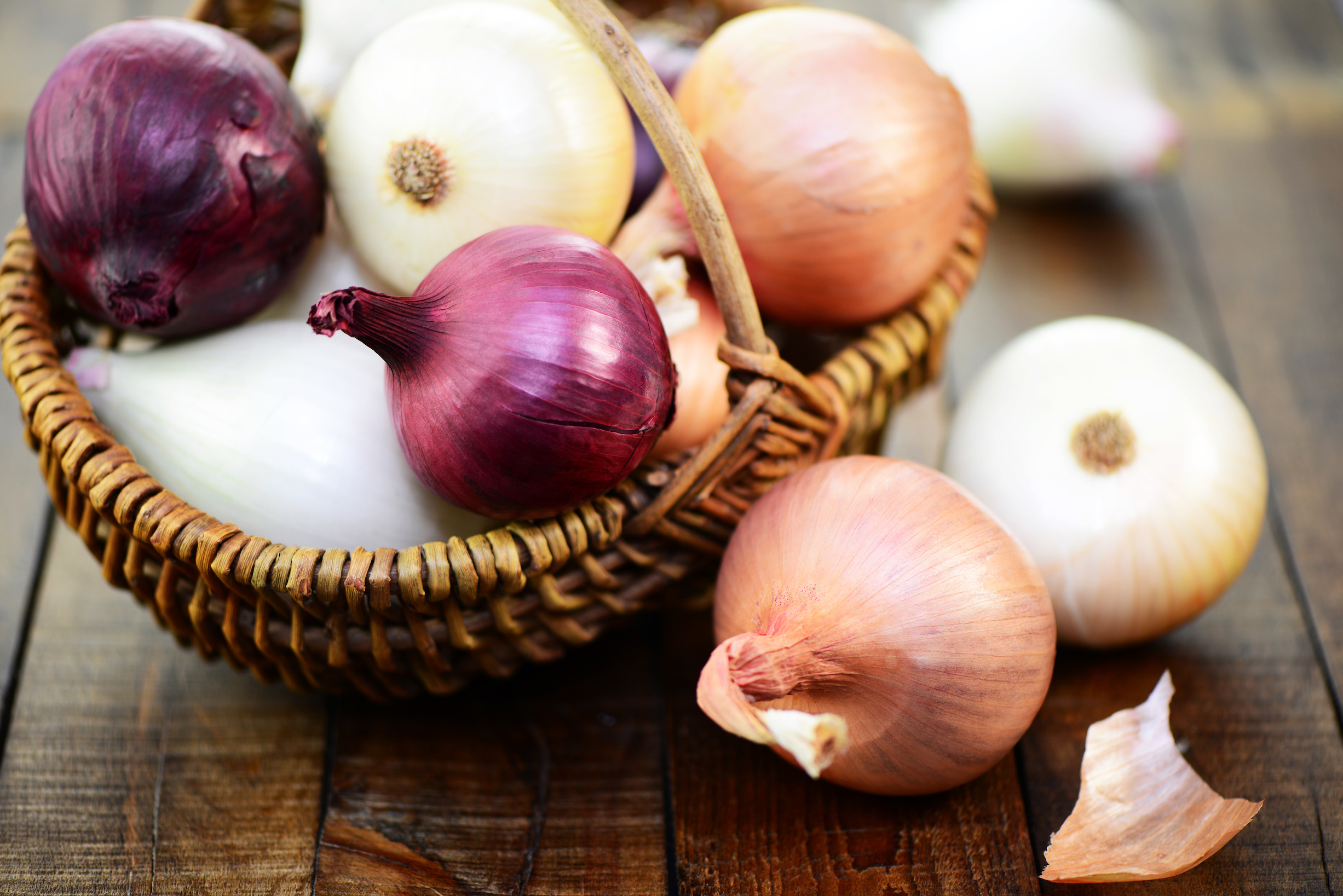 AdobeStock_71659212.jpeg