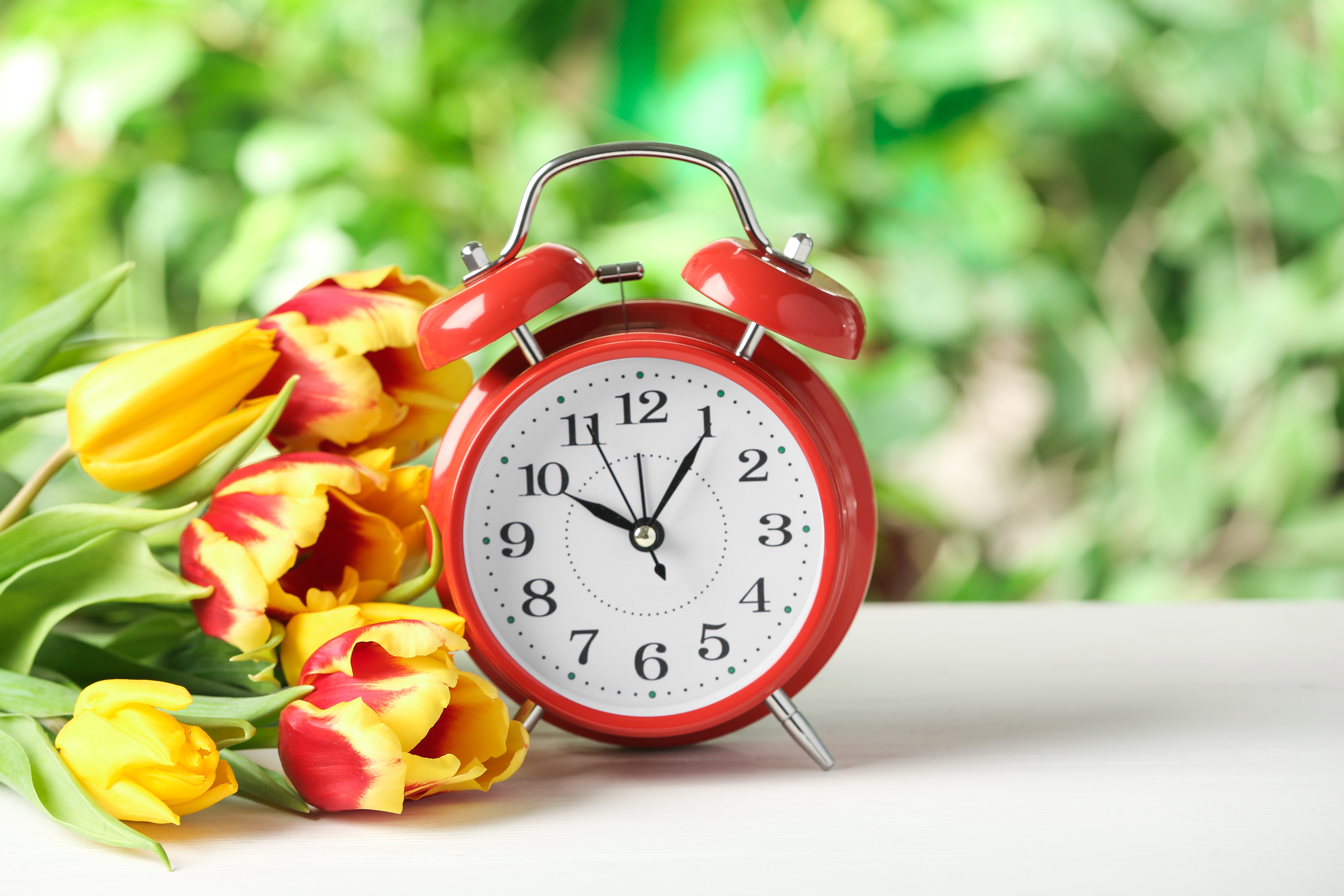AdobeStock_324064798.jpeg